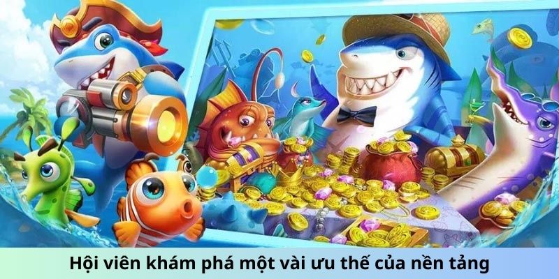 Hội viên khám phá một vài ưu thế của nền tảng