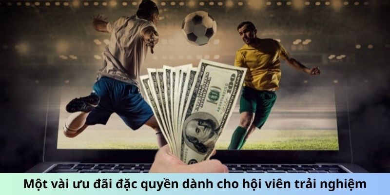 Một vài ưu đãi đặc quyền dành cho hội viên trải nghiệm