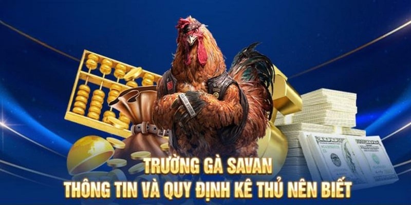 Quy định tổ chức thi đấu tại trường Savan